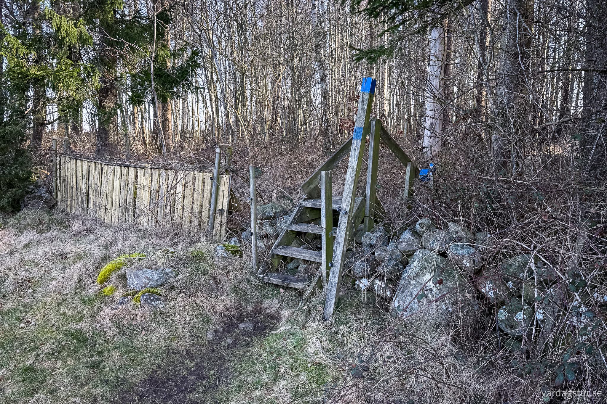 Grevie-backar-2025-03-08-03