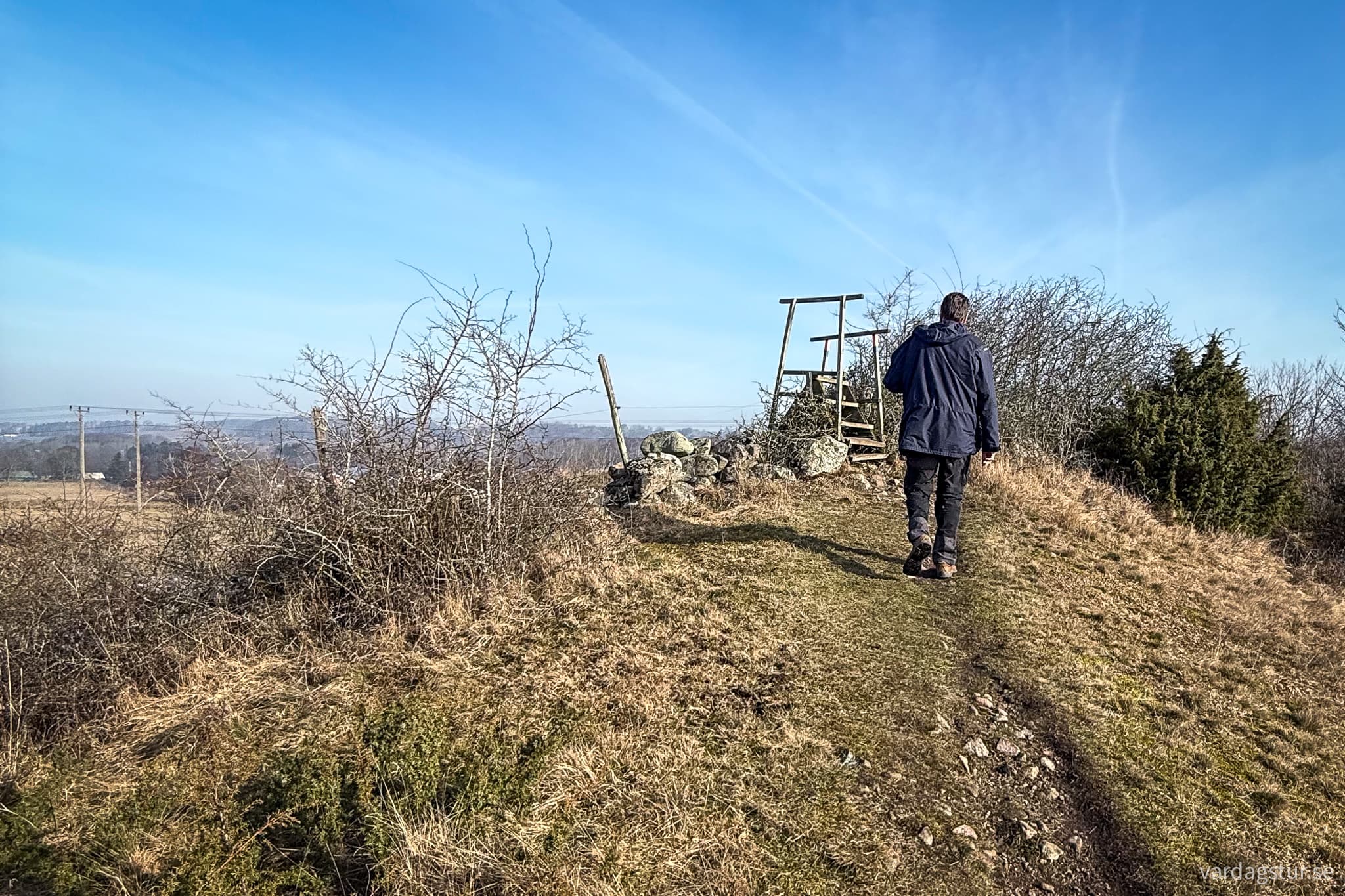 Grevie-backar-2025-03-08-04