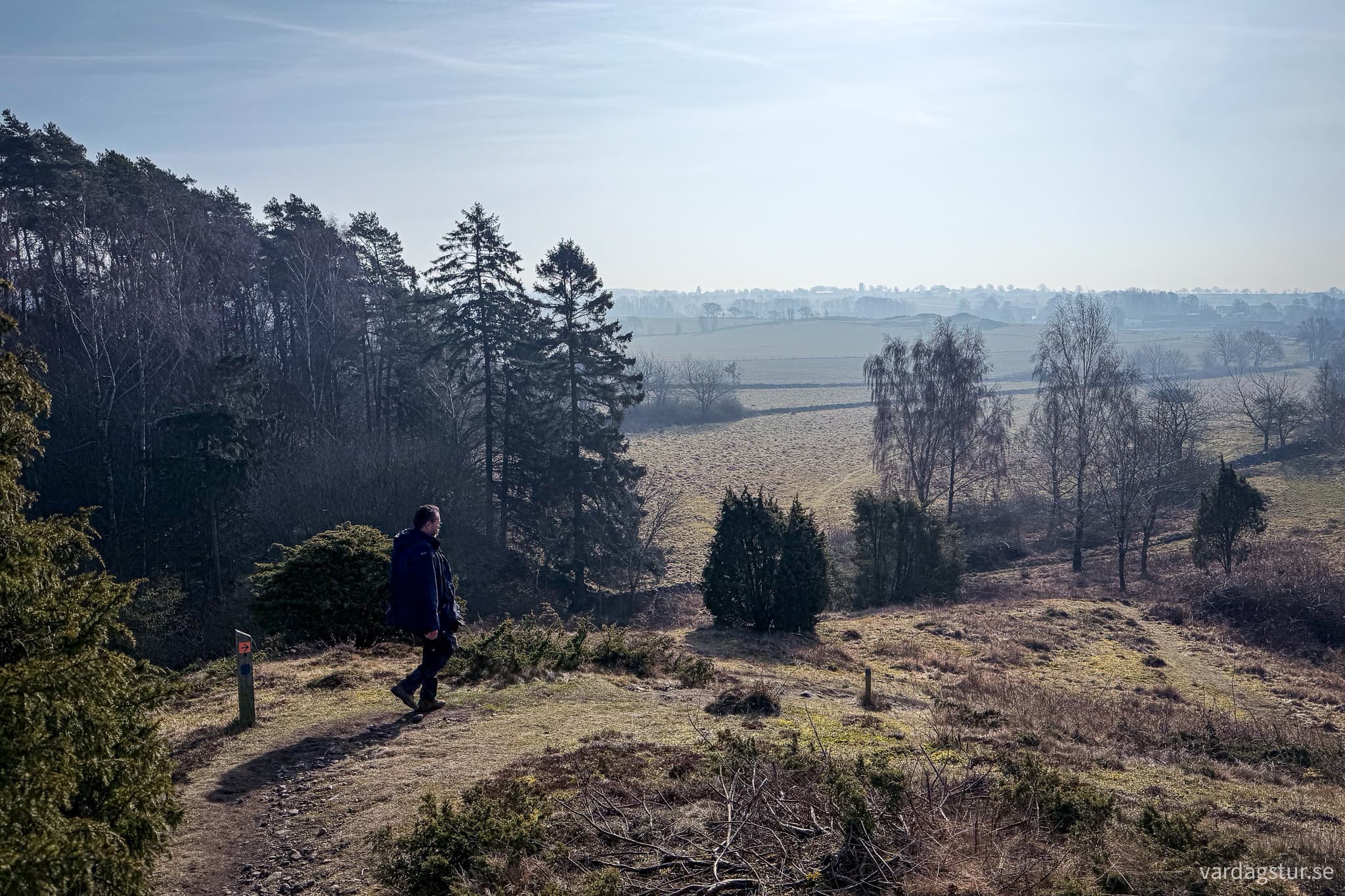 Grevie-backar-2025-03-08-06