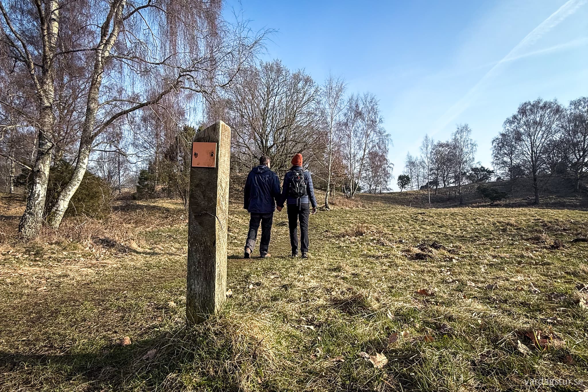 Grevie-backar-2025-03-08-10