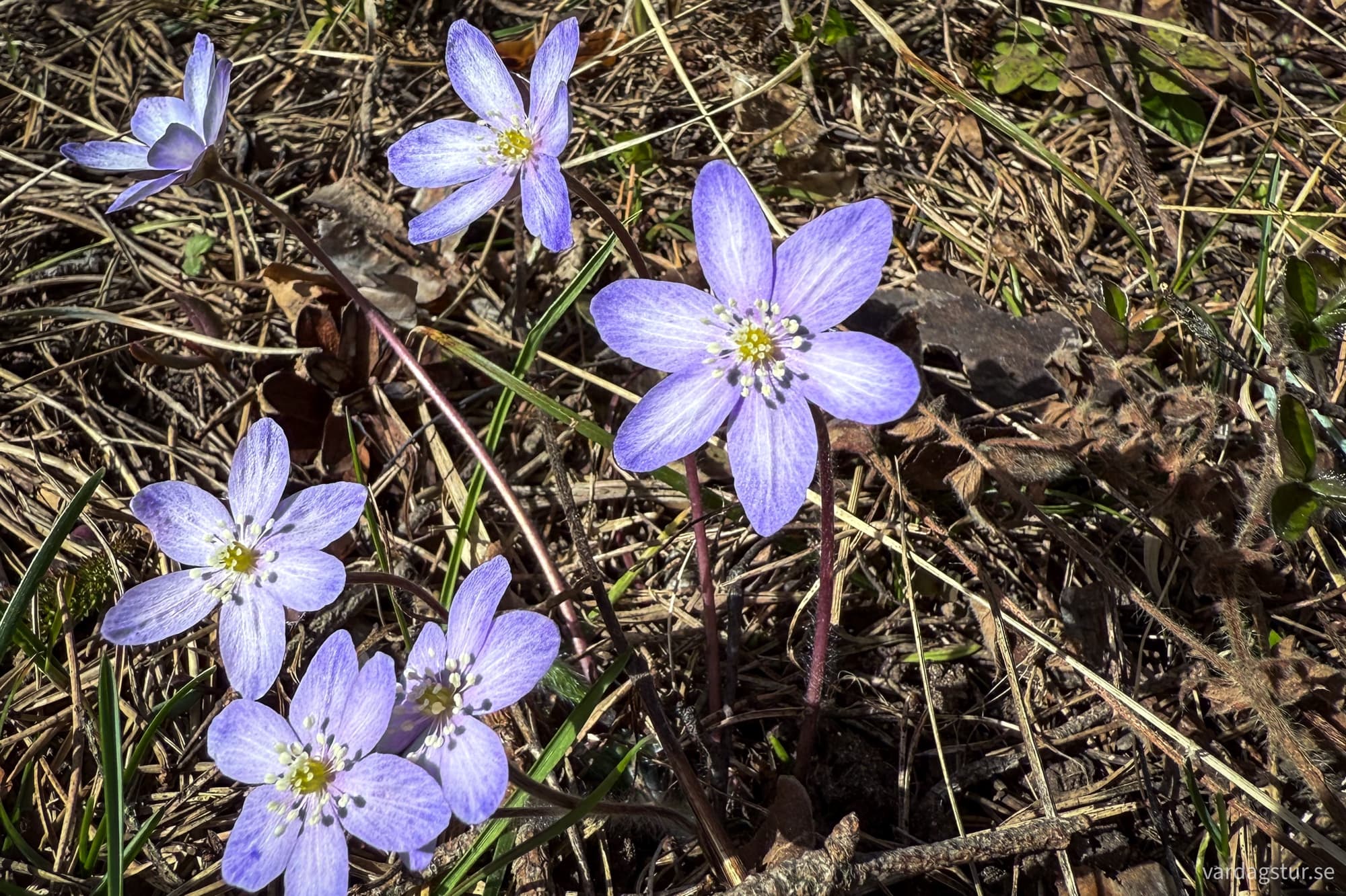 hammarudd-2025-04-12-15