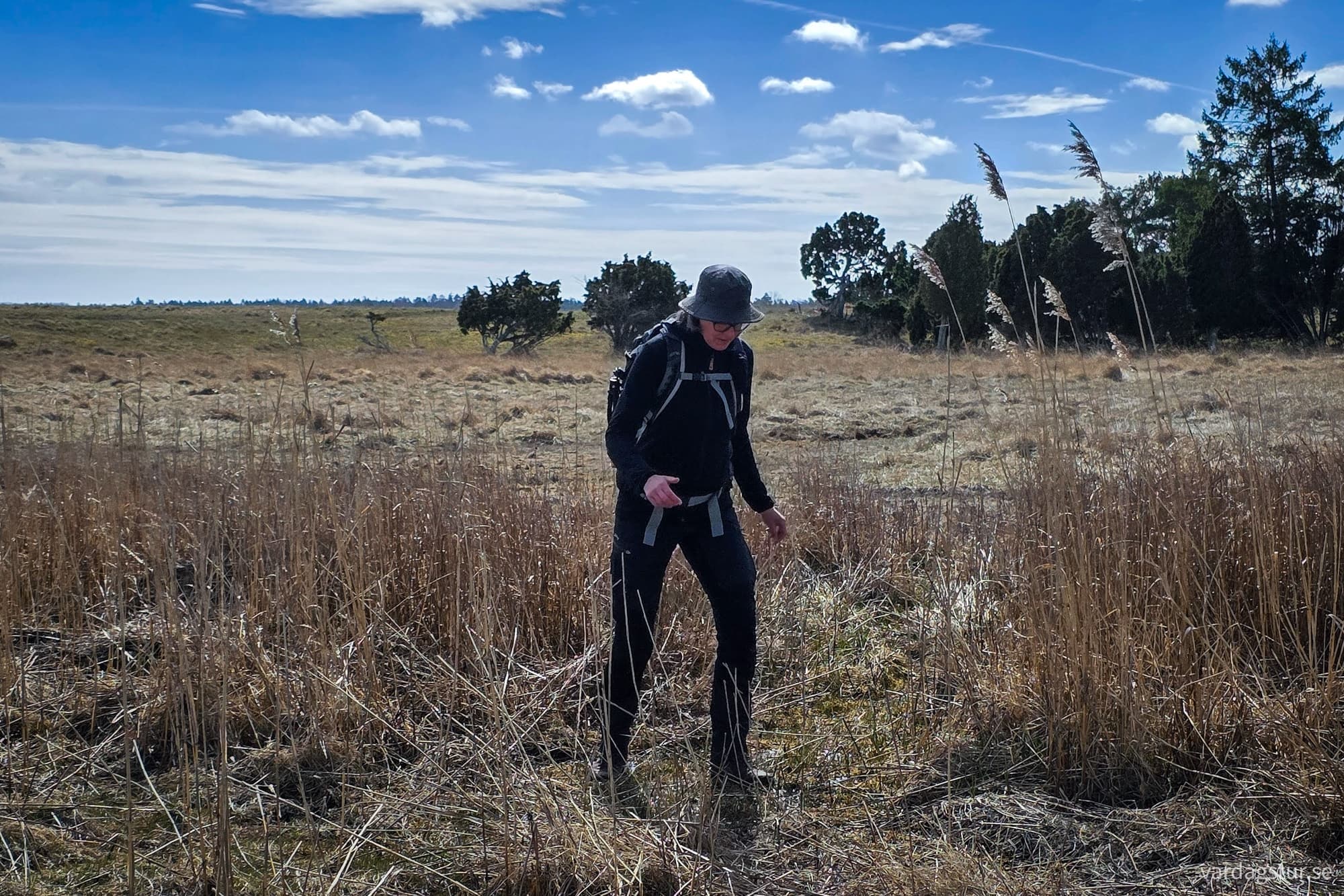 hammarudd-2025-04-12-05