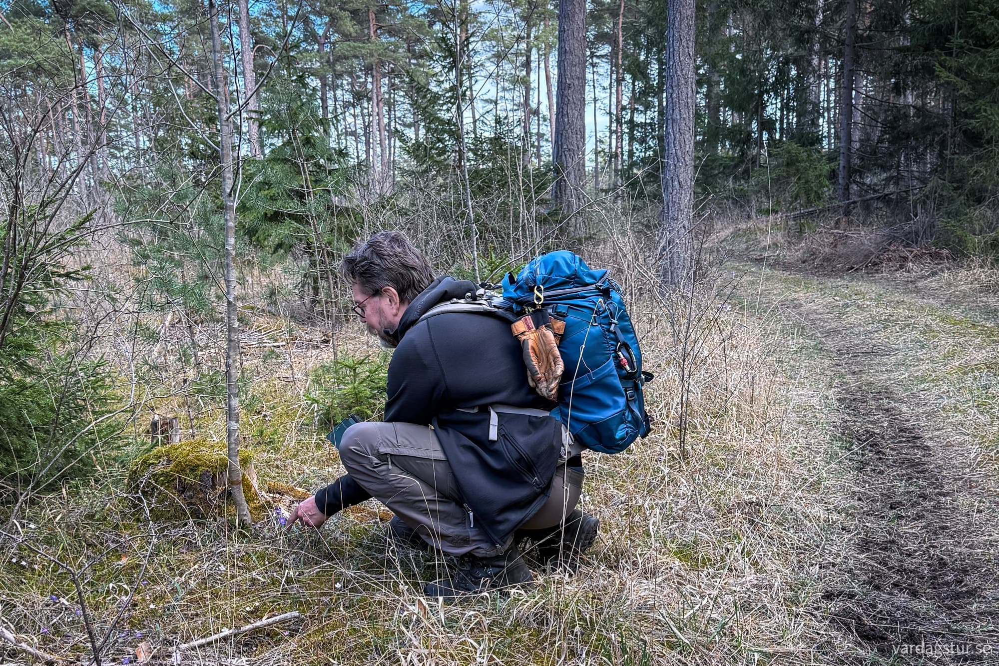 hammarudd-2025-04-12-2-1