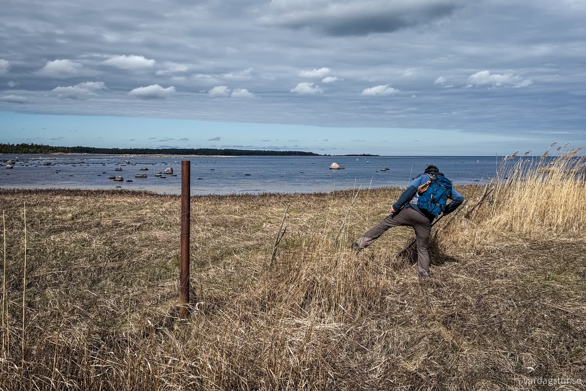 hammarudd-2025-04-12-1-4-1