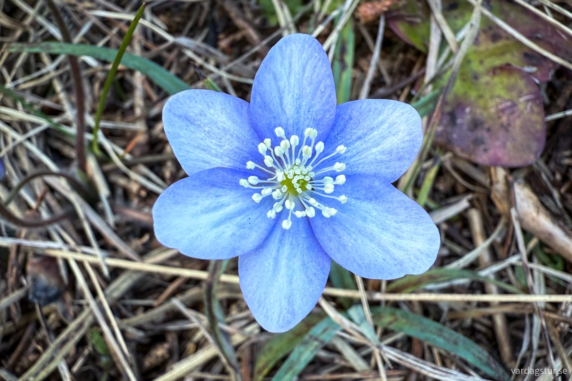 hammarudd-2025-04-12-1-5-1