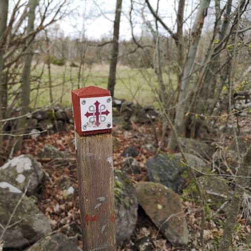 1-IMG_20200429_135206