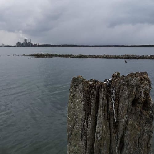 1-IMG_20200429_141430