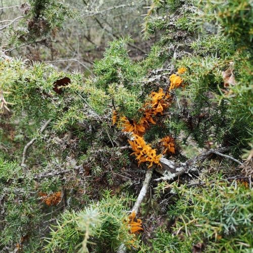 1-IMG_20200429_142129