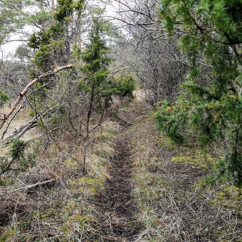 1-IMG_20200429_144143