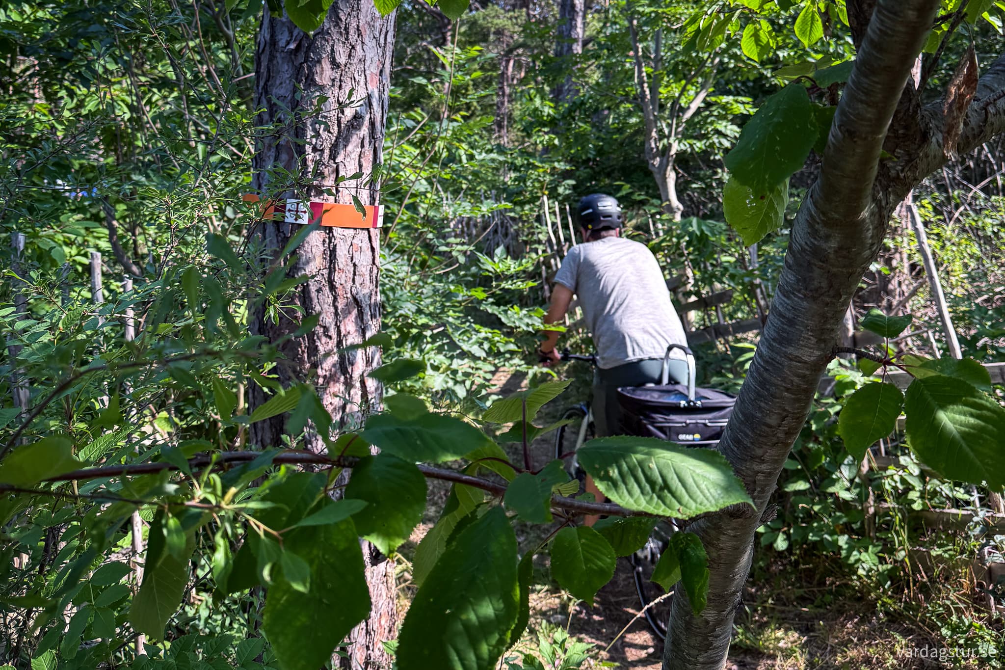 St Olavsleden Visby - Hejnum-29