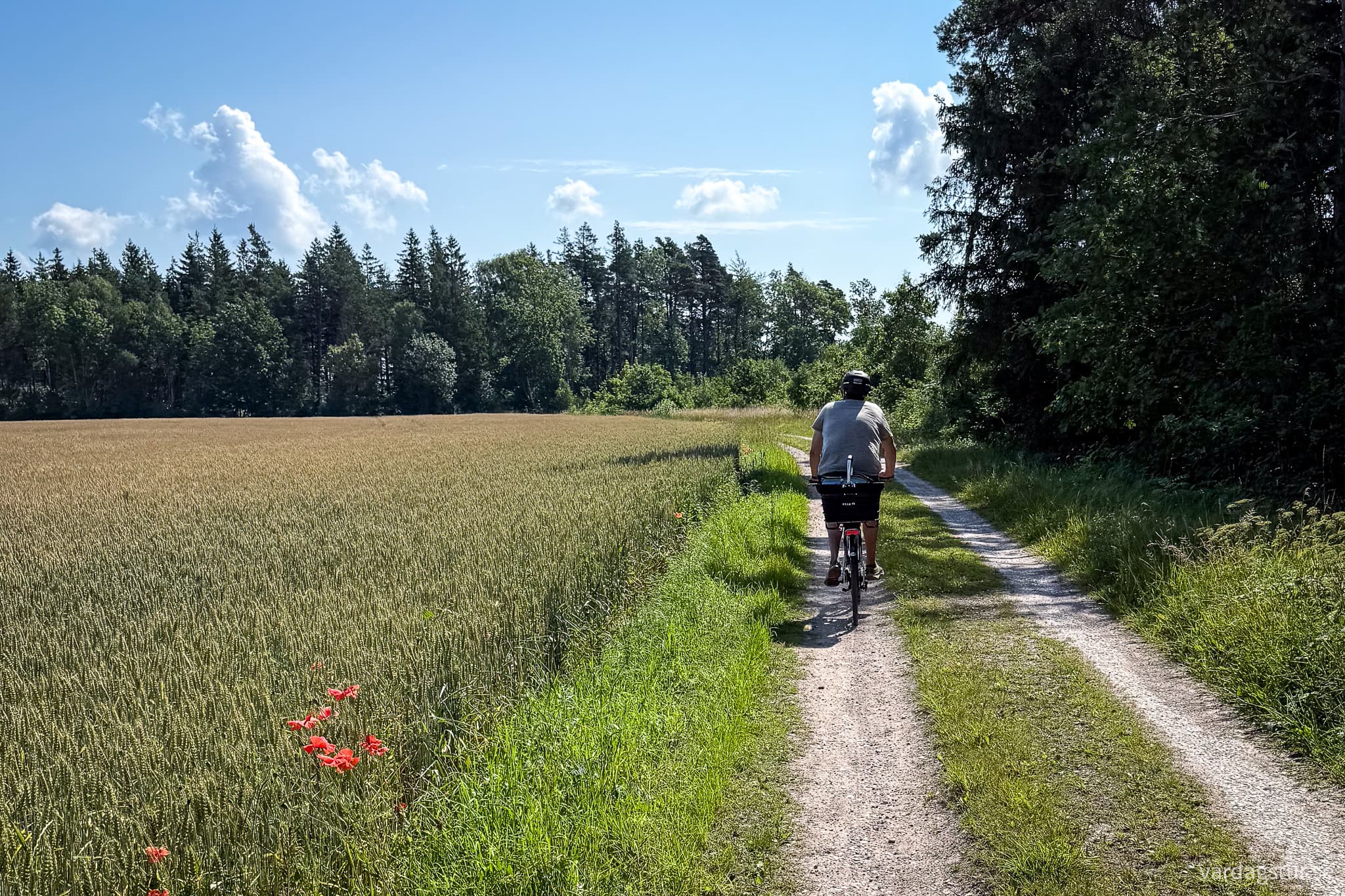St Olavsleden Visby - Hejnum-22