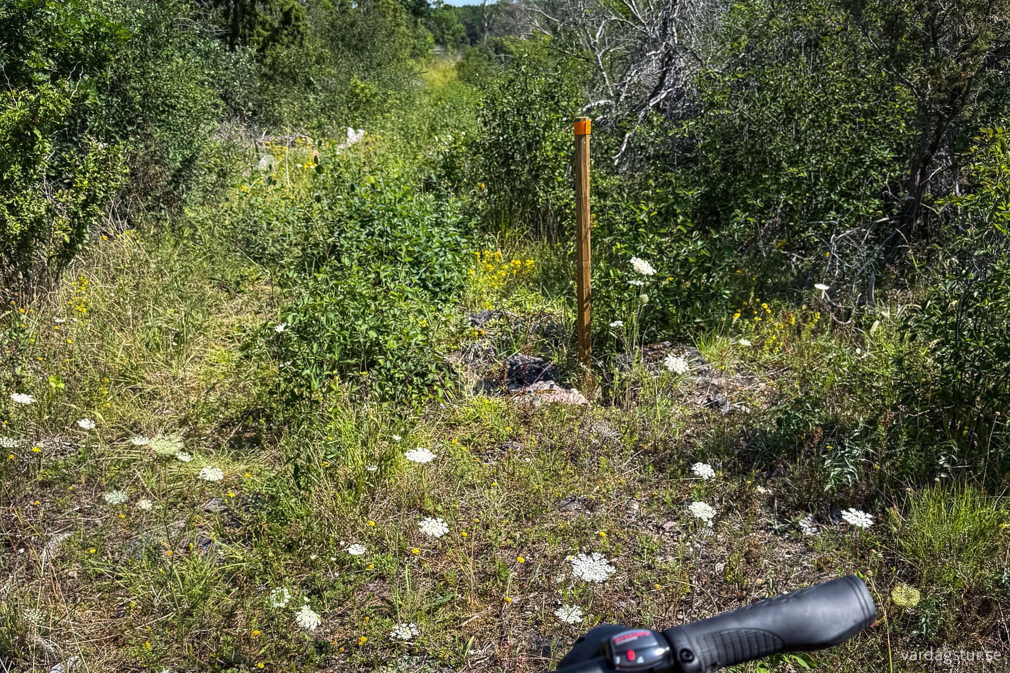 St Olavsleden Visby - Hejnum-01