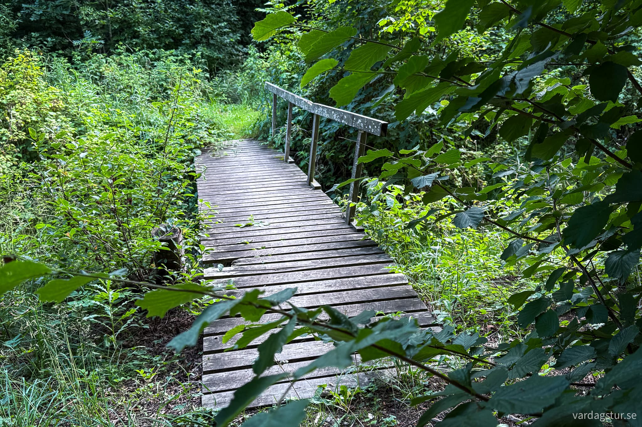 St Olavsleden Visby - Hejnum-18