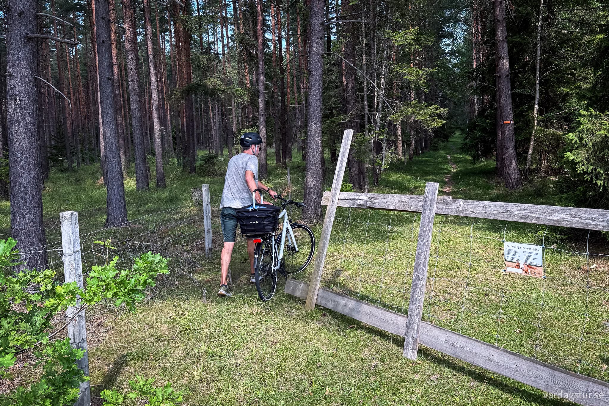 St Olavsleden Visby - Hejnum-15