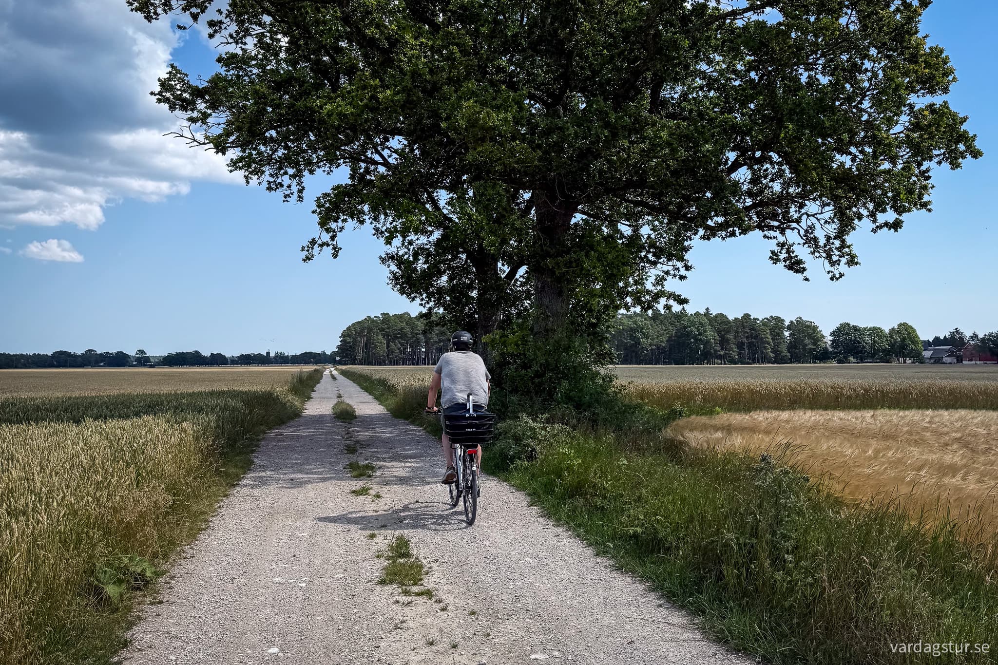 St Olavsleden Visby - Hejnum-14