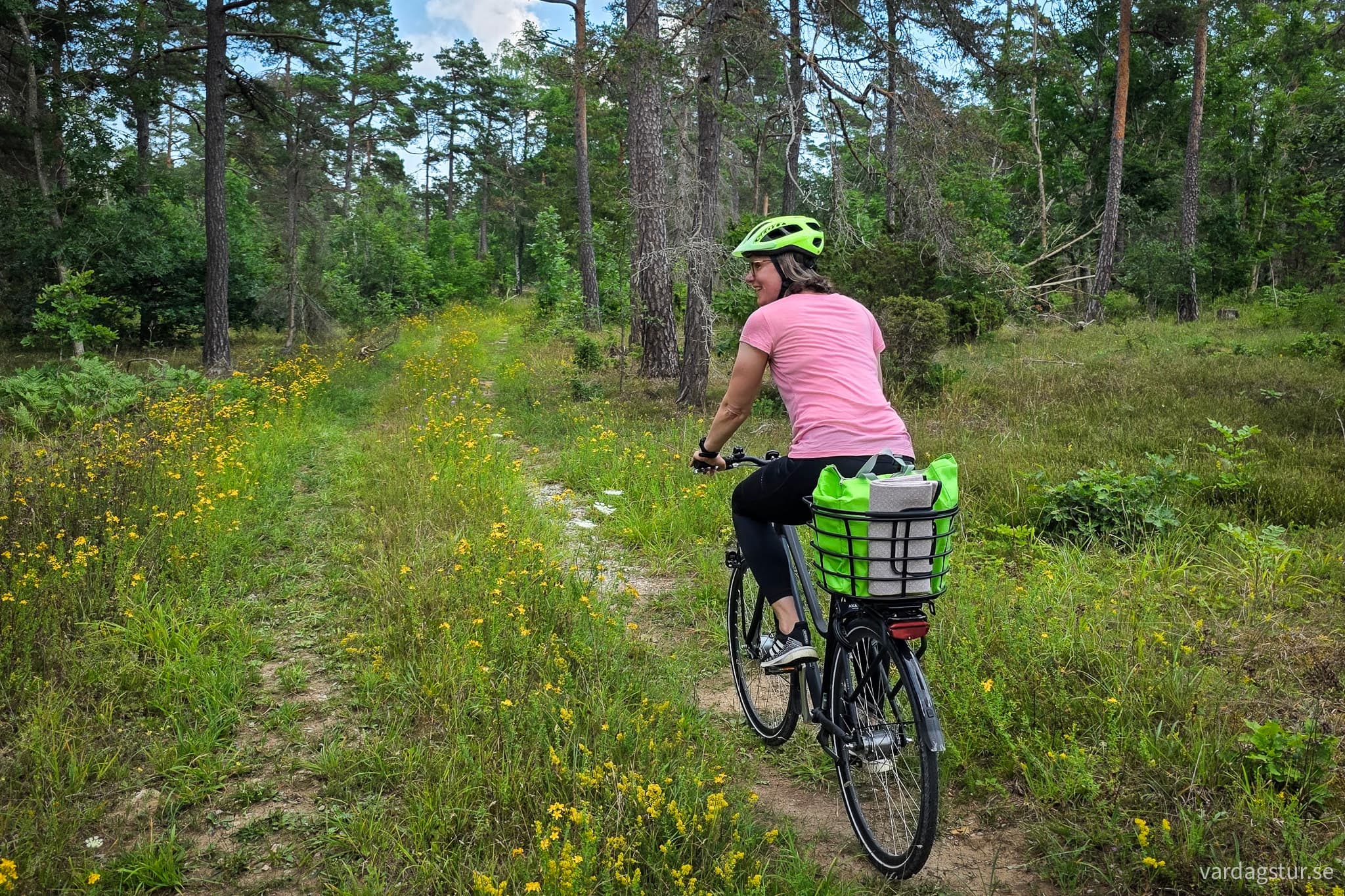 St Olavsleden Visby - Hejnum-09