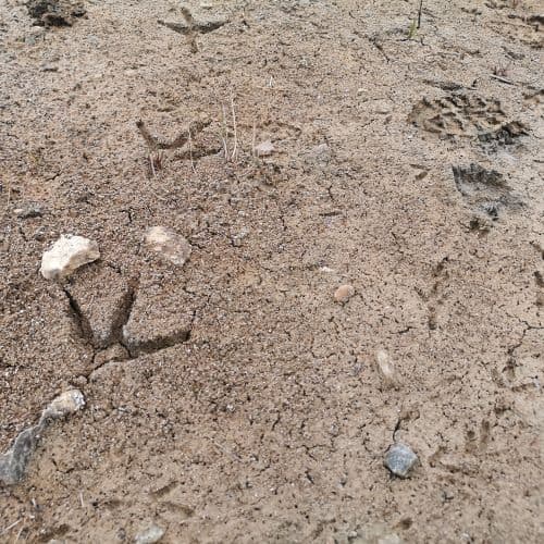 1-IMG_20200429_144941