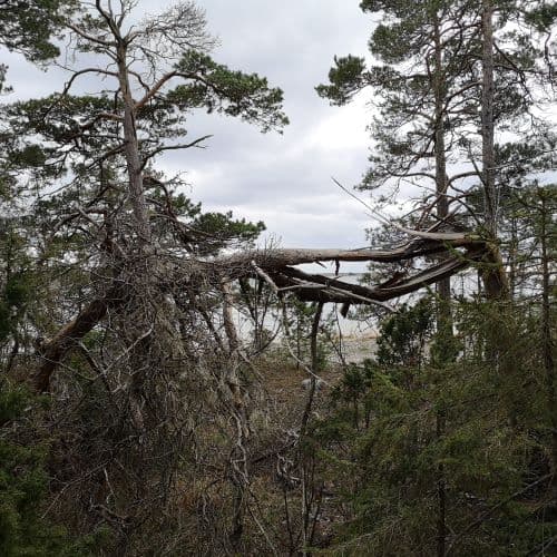 1-IMG_20200429_150524