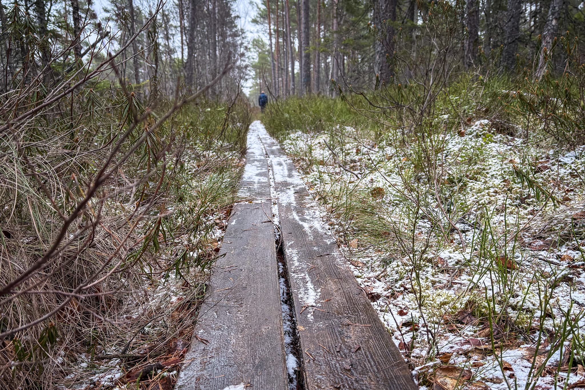 Sörmlandsleden etapp 32-14