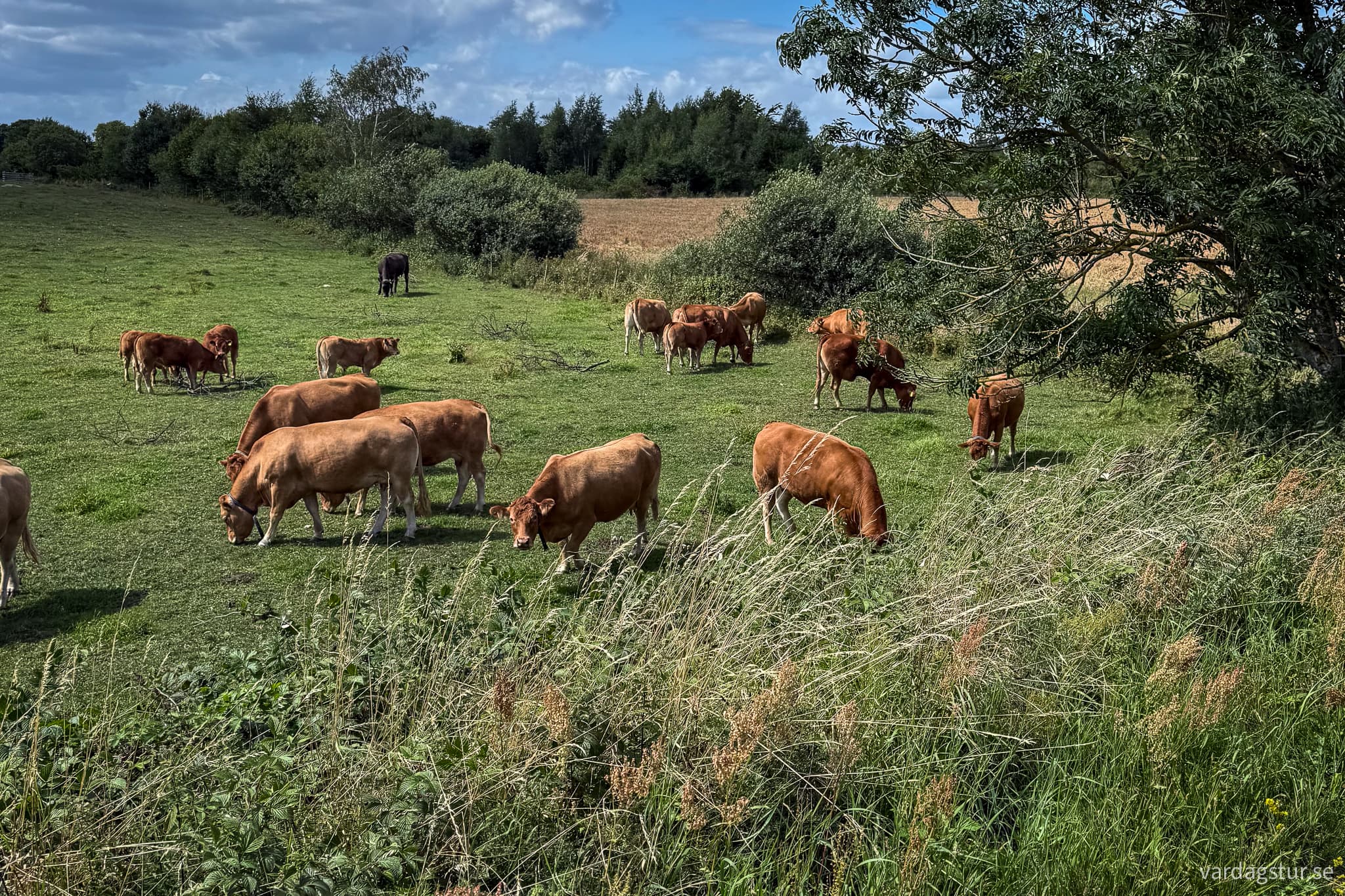 Banvallsleden-dag-0-18