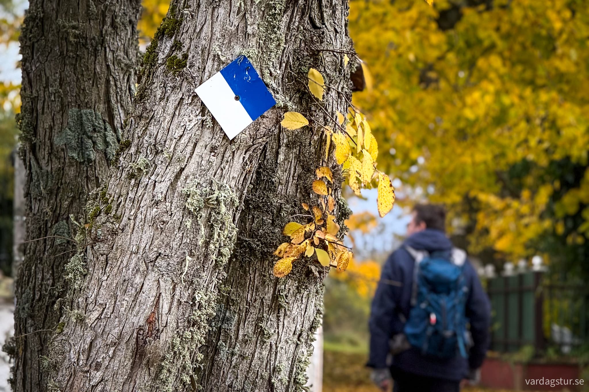 Linnestigen-Ostergarn-13