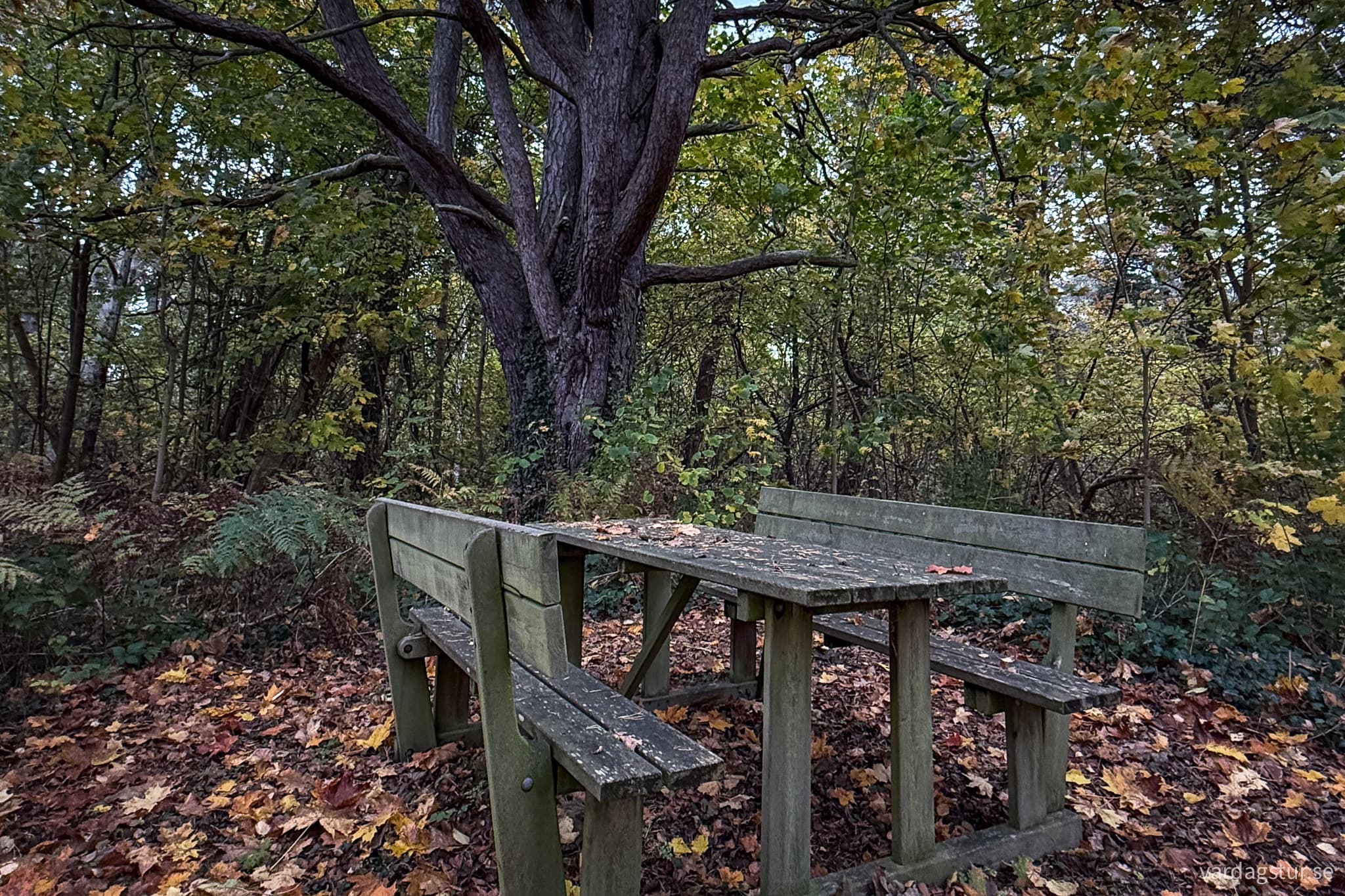 Linnestigen-Ostergarn-10