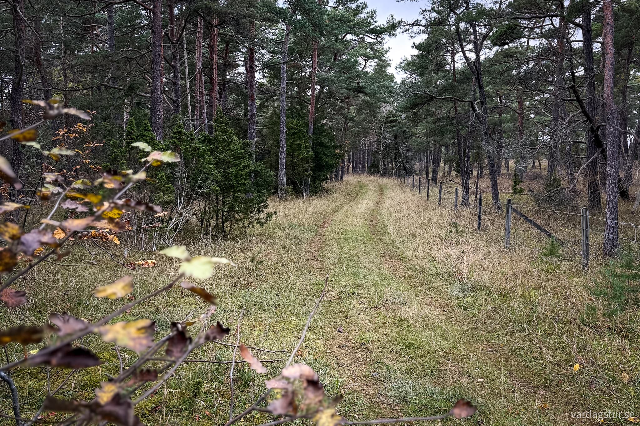 Linnestigen-Ostergarn-04