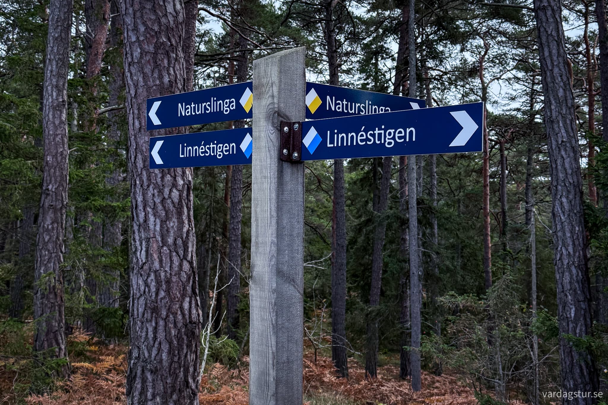 Linnestigen-Ostergarn-28