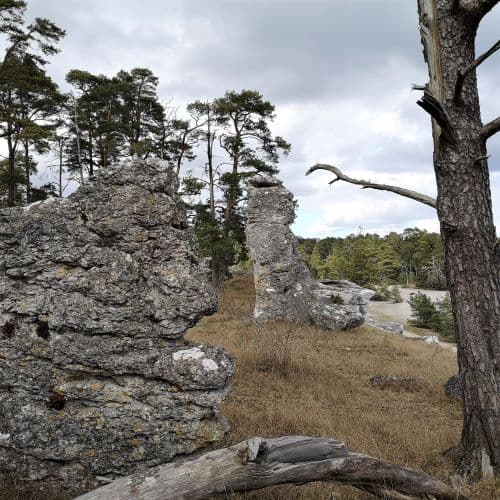 1-IMG_20200429_152907