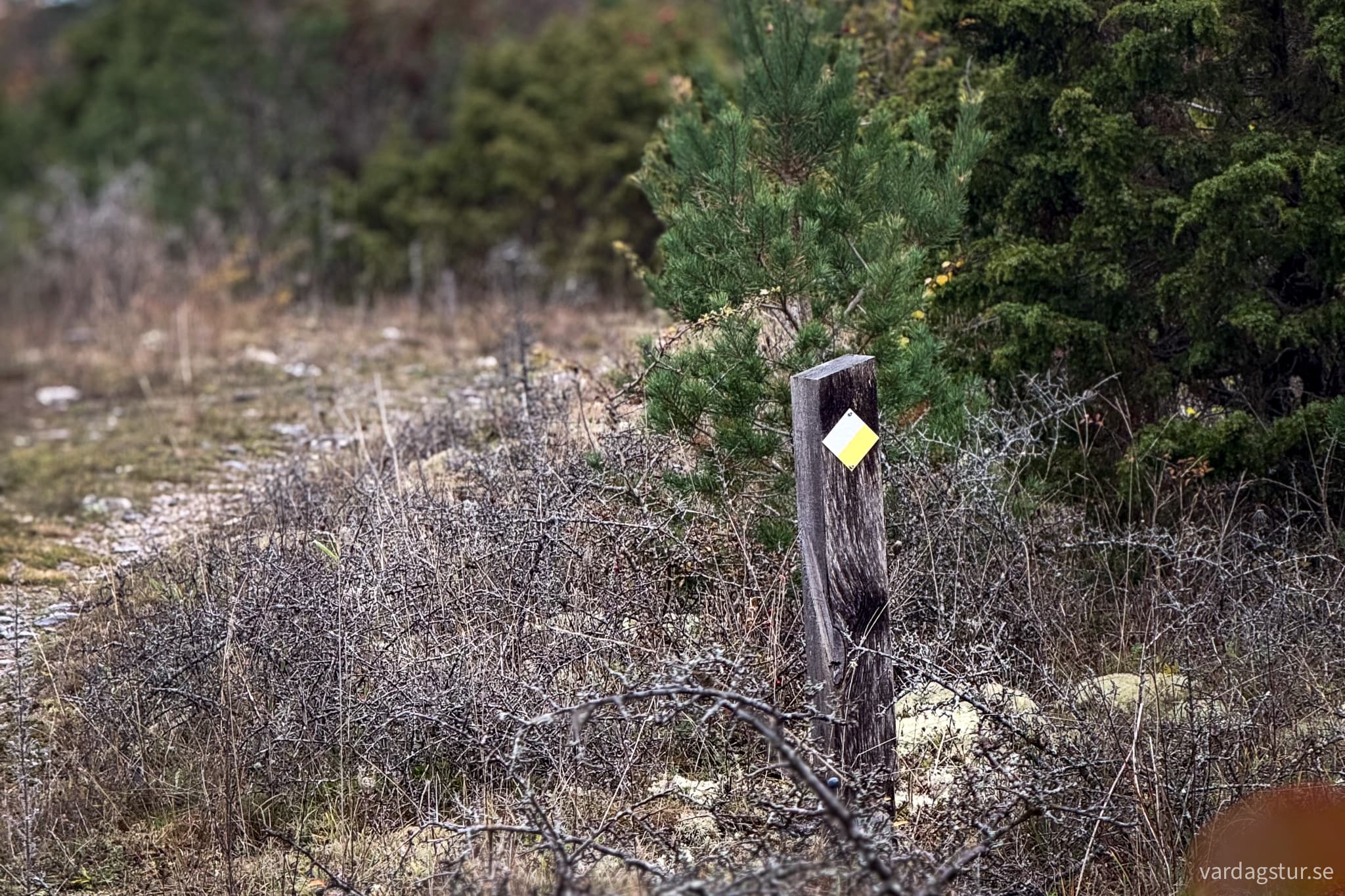 Linnestigen-Ostergarn-34