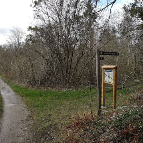 1-IMG_20200429_160058