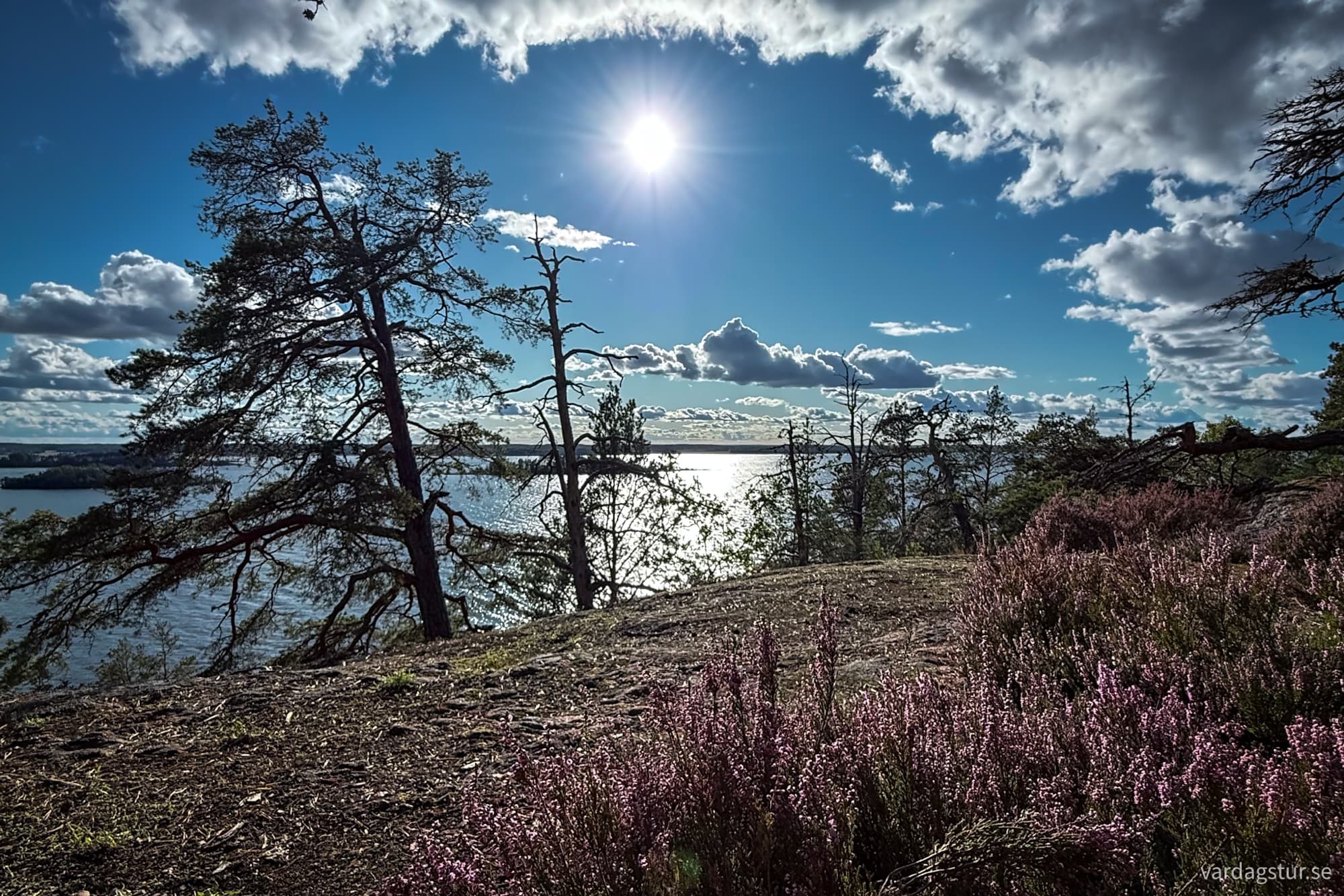 66265dab-1712-41ec-a438-e908afc4c188