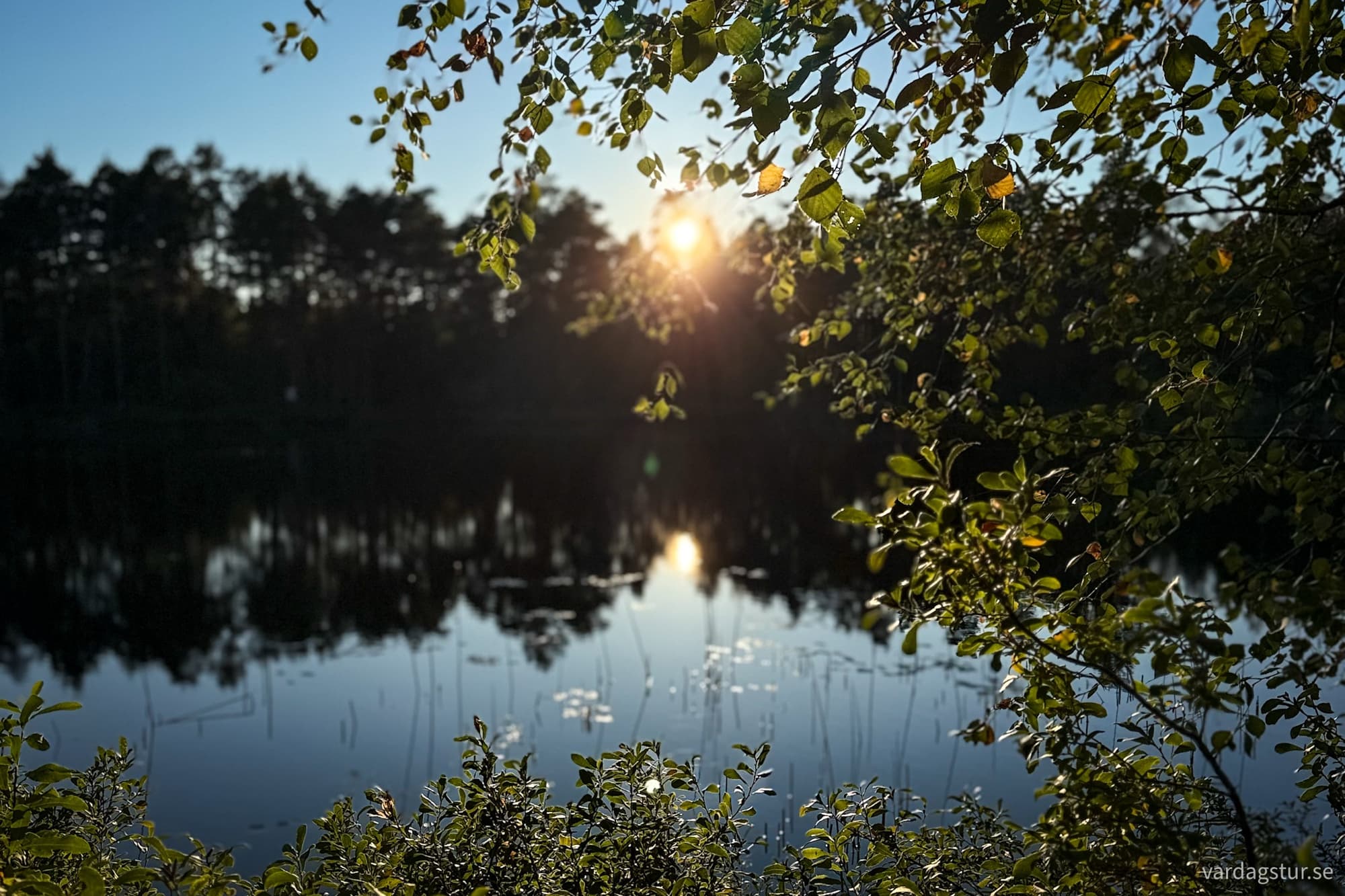 879476fd-4155-4420-8bda-dd4ce762b4aa