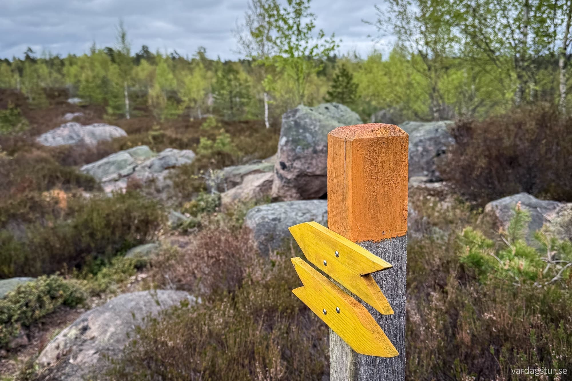 934f9878-8bbb-4b9f-bfe7-d2417f0582c4