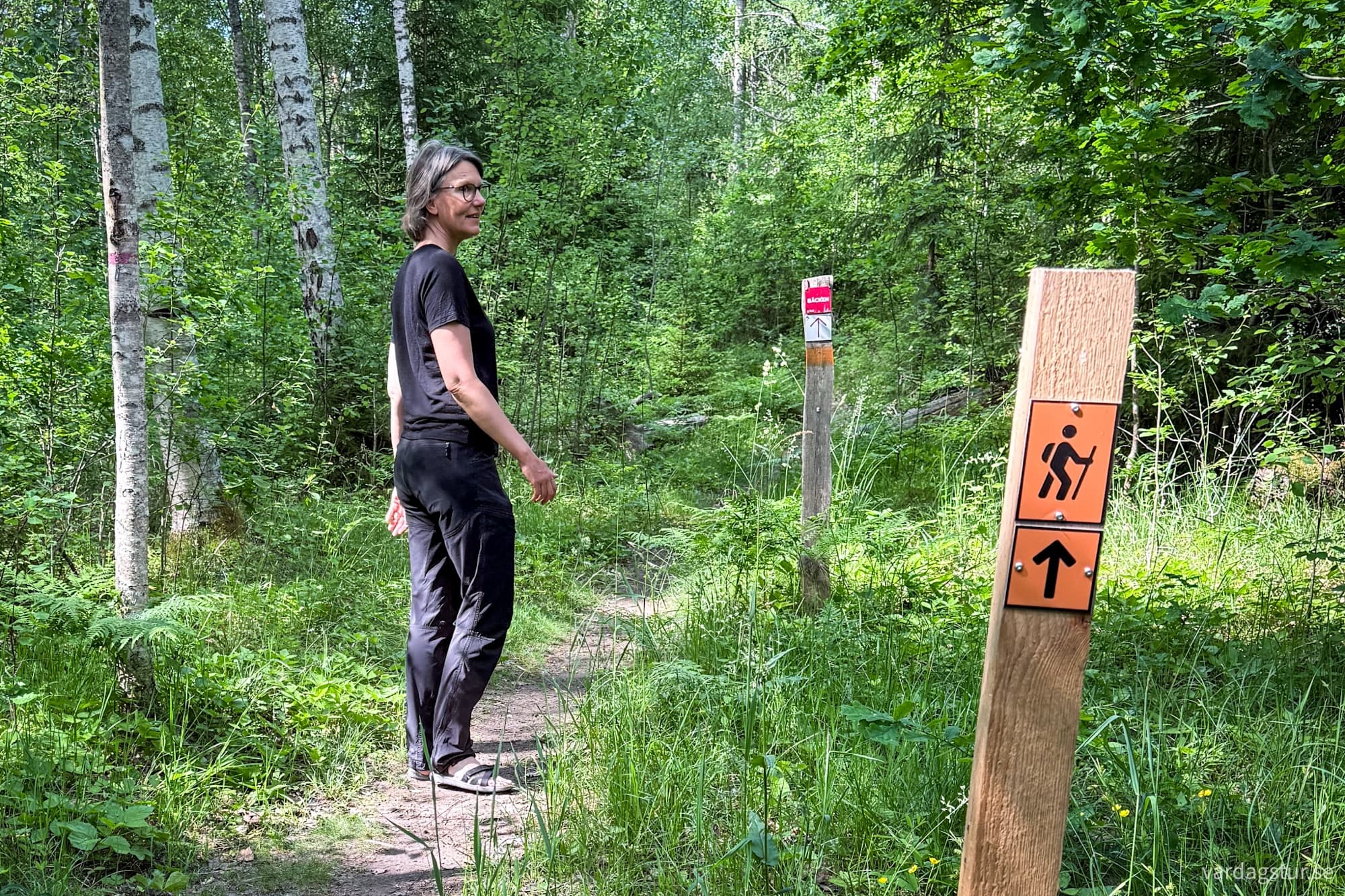 ddc1f5ff-3f25-436d-977f-52c82b6f8ec3