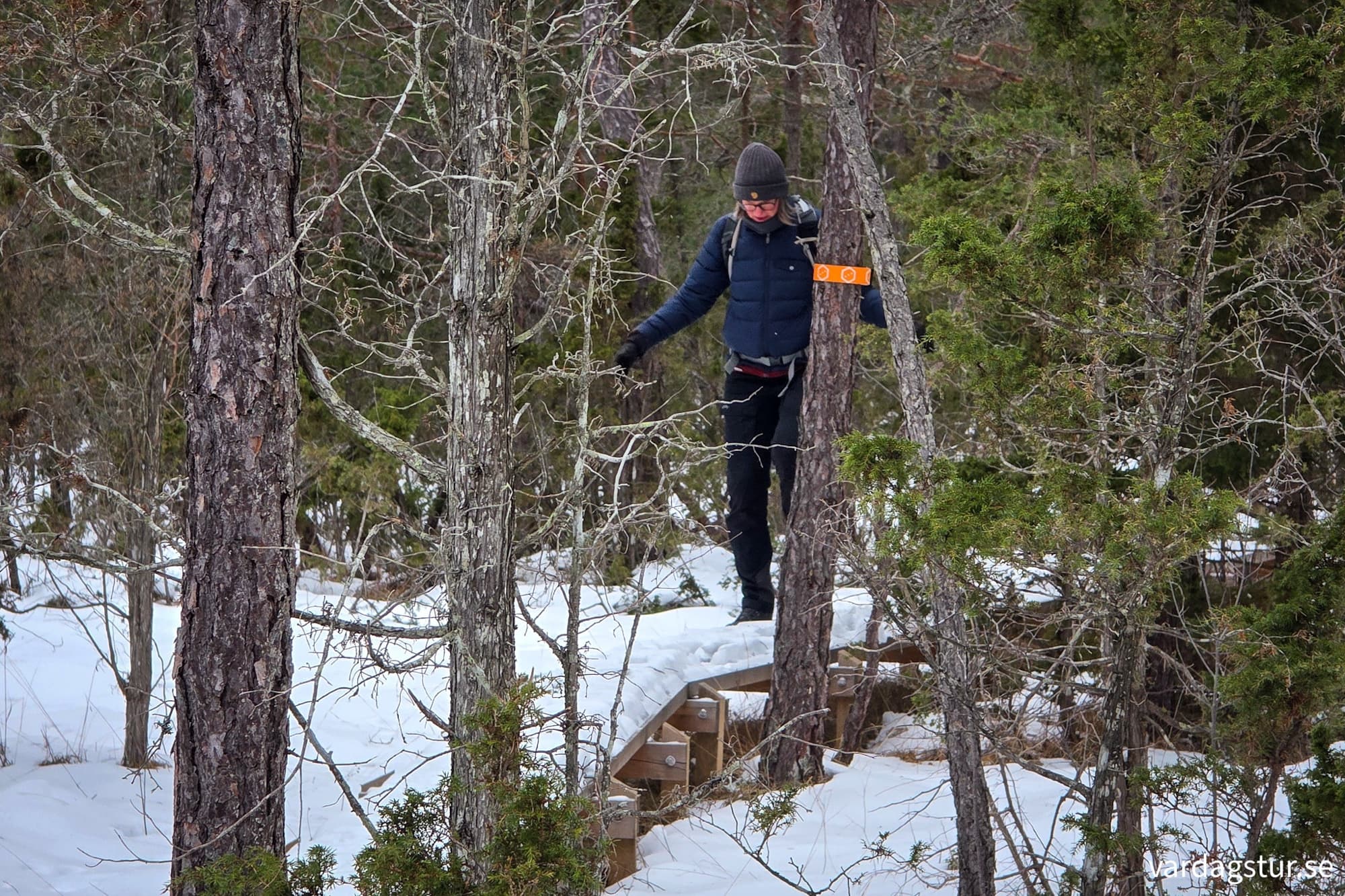 20260201_145330_original-1