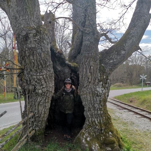 1-IMG_20200426_151157