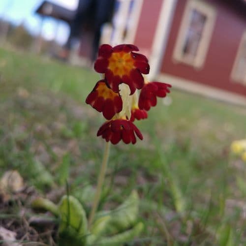 1-IMG_20200426_140109