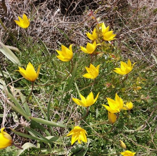 1-IMG_20200426_131629