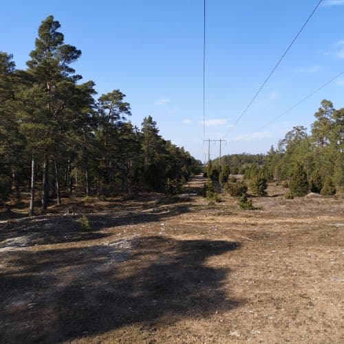 1-IMG_20200405_145654