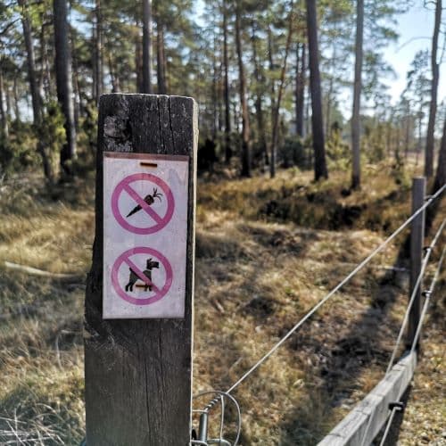 1-IMG_20200405_142633