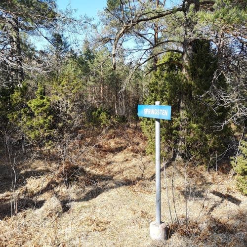 1-IMG_20200405_140852