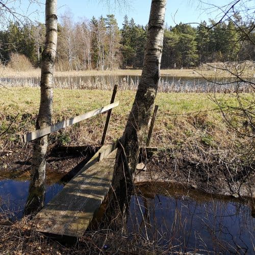 1-IMG_20200405_130713