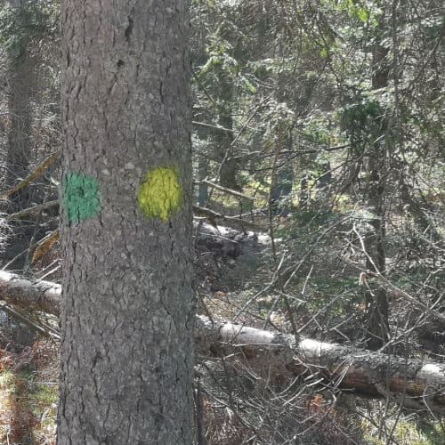 1-IMG_20200405_124721