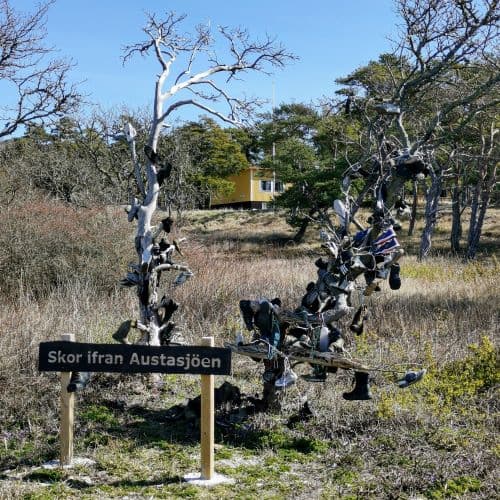 1-img_20200411_114751