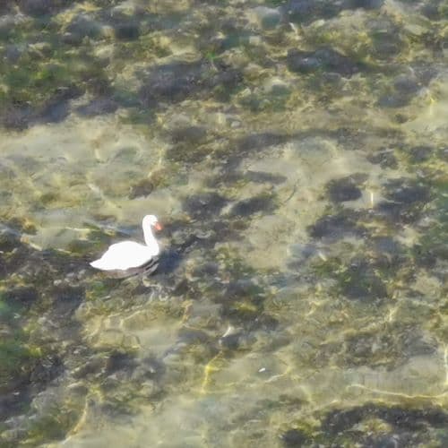 1-img_20200411_121948