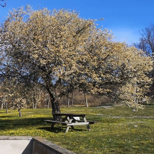 1-img_20200411_130209