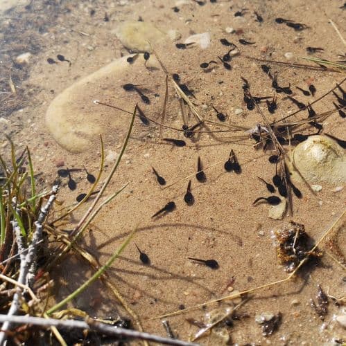 1-IMG_20200507_164313