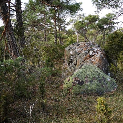 1-IMG_20200507_162345