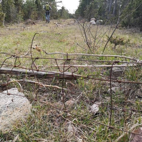 1-IMG_20200507_161242